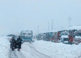 पर्यटकों के लिए आनंद का बड़ा अवसर: हिमाचल प्रदेश में हुई ताजा बरफबारी